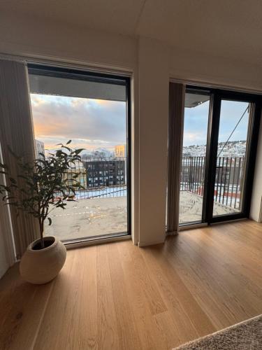 d'un salon avec une plante en pot et de grandes fenêtres. dans l'établissement The Arctic Explorer Exclusive, à Tromsø