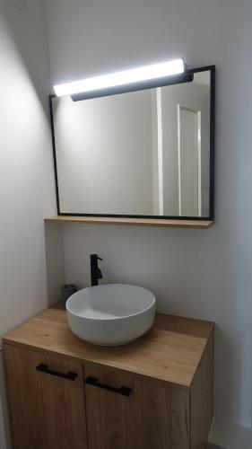 une salle de bain avec un lavabo et un miroir sur un comptoir dans l'établissement Central, charming and peaceful, à Toulouse