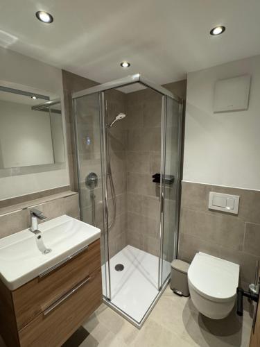 a bathroom with a shower and a toilet and a sink at Alpennest Blindau in Reit im Winkl