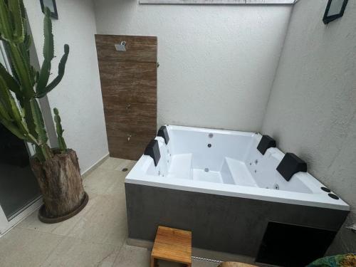 a bath tub in a bathroom with a cactus at Beautiful house Juquehy in São Sebastião
