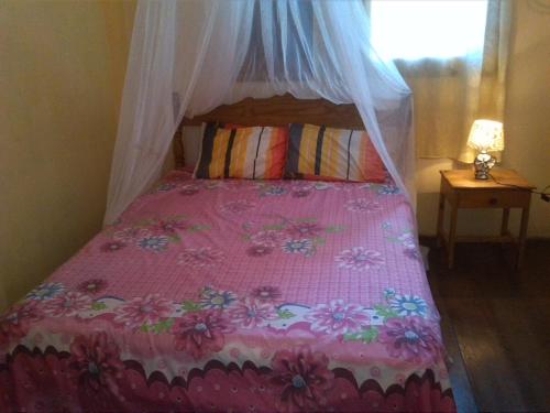 1 dormitorio con cama rosa y dosel en Auberge Etiennette en Trou dʼ Eau Douce