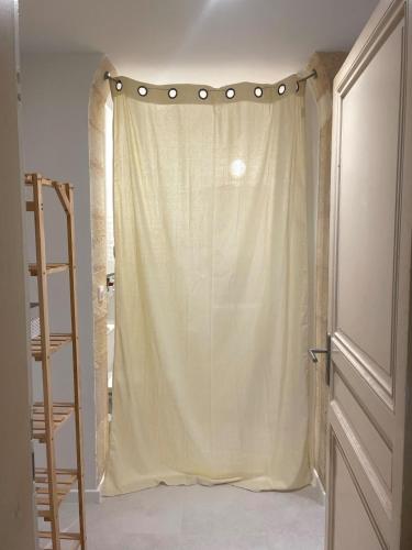 a shower curtain in a room with a ladder at Studio ultra centre libourne - jacuzzi & vidéoprojecteur in Libourne