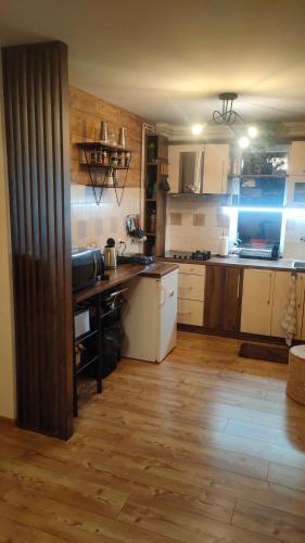 a kitchen with wooden floors and a kitchen with a counter at Vila Jezerski raj Borsko jezero in Bor