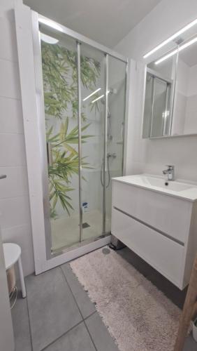 une salle de bain avec une douche, un lavabo et une baignoire dans l'établissement Le Poseidon Grande terrasse vue port a 100m plage, à Saint Cyprien Plage