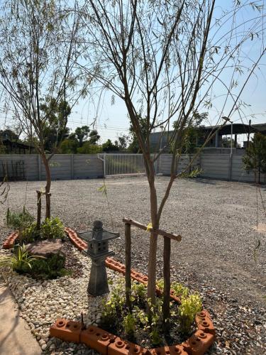 a garden with a tree and a fire hydrant at Zen Harmony House Udonthani in Udon Thani
