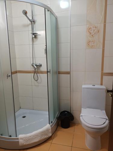 a bathroom with a shower and a toilet at Hotel Transilvania Zalău in Zalău