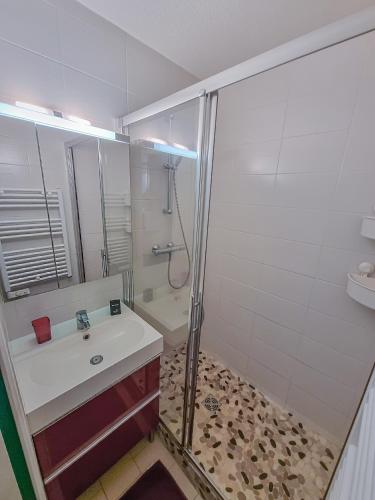 une salle de bain avec une douche, un lavabo et des toilettes dans l'établissement L'escapade - T2 en centre ville avec terrasse, clim et wifi, au Lavandou