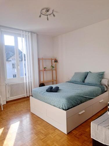 a bedroom with a large bed with blue pillows at Comfortable 1 bd apt in Peseux