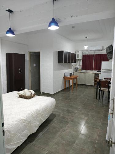 Kuchyň nebo kuchyňský kout v ubytování Departamento en Planta baja, centrico, Practico, Estacionamiento D3