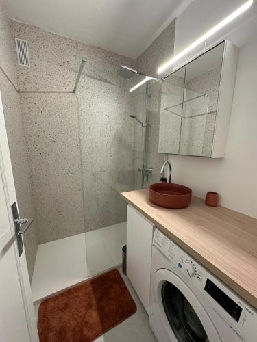 une machine à laver dans une salle de bain avec un lavabo dans l'établissement T2 with garden and parking, à Cannes