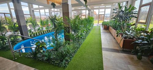 a greenhouse with a swimming pool and plants at Luby Panzió in Nagyar