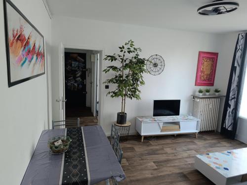 une salle à manger avec une table et une plante en pot dans l'établissement Mikelimoges, à Limoges