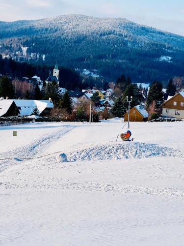 L'établissement Apartmány Motýlí louka en hiver