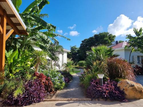a garden of flowers and plants in front of a house at Ecolodge Barbuda - Natural pool & beach in Saint-François