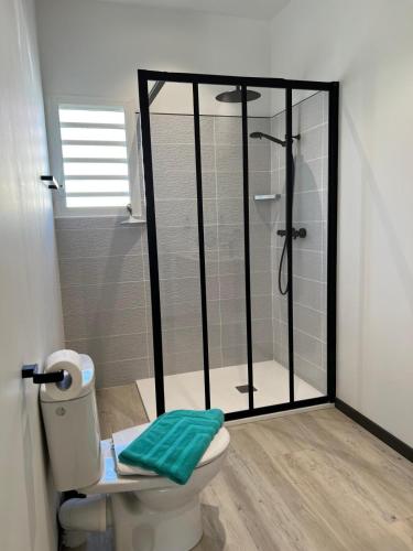 a bathroom with a shower and a toilet at Ecolodge Sabba - Natural pool & beach in Saint-François