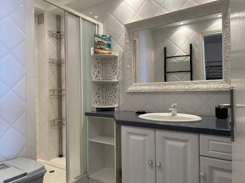 une salle de bain avec un lavabo et un miroir dans l'établissement Appart 2 pièces - cabine 6 couchages BANYULS SUR MER BN130-C113, à Banyuls-sur-Mer