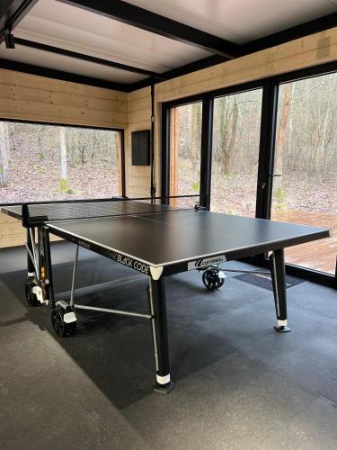 Stolní tenis v ubytování Mana Lake nebo okolí