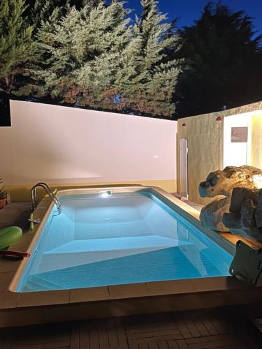 a swimming pool with a teddy bear sitting next to it at Pedra Oliveira in Ameixeira