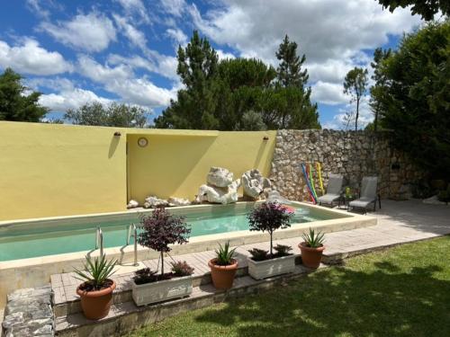 a swimming pool with potted plants in a yard at Pedra Oliveira in Ameixeira