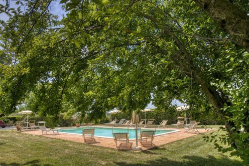a swimming pool with chairs and a tree at Villa il Barco by MMega in San Giovanni