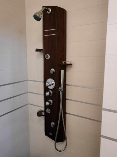 a shower in a bathroom with a shower head at Aquincum Dunaparti Apartman in Budapest