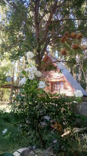 Billede fra billedgalleriet på Cabañas Zorzal Rodeo i Rodeo