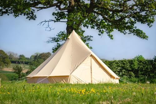 a large white tent in a field with a tree at Glamping Bell Tent - Cheshire Countryside in Church Minshull
