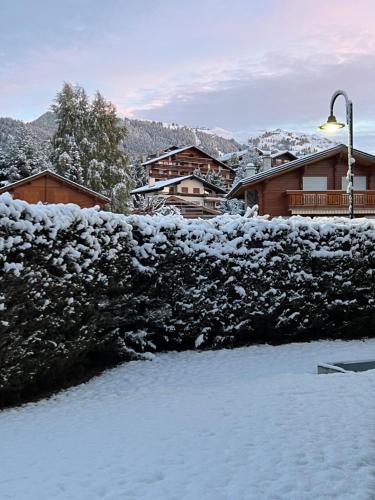 a hedge covered in snow next to a street light at Apartment with a garden, close to golf in Lens