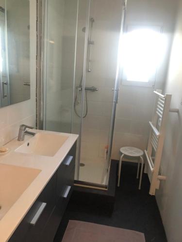 La salle de bains est pourvue d'un lavabo et d'une douche avec une porte en verre. dans l'établissement Villa les peupliers, à Royan