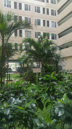 Taman di luar Mount view room