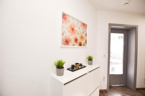 a white kitchen with potted plants and a painting on the wall at Ferienwohnung Karl in Dessau