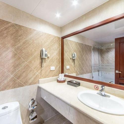 a bathroom with a sink and a toilet and a mirror at Hodelpa Gran Almirante in Santiago de los Caballeros