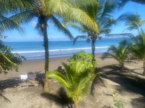a view of a beach with palm trees and the ocean at playa mecana kirita in Bahía Solano