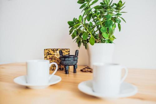two cups and a potted plant on a table at Škodova Apartments in Přerov