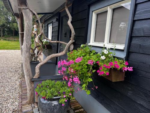 a window box with flowers on the side of a house at Bij Boom in Wiesel