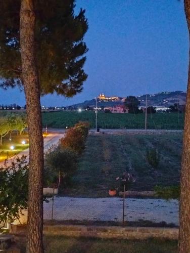 a view of a street at night with a tree at CaSAle in Castelfidardo