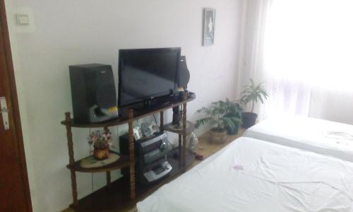 TV a/nebo společenská místnost v ubytování Guest House Obradovic