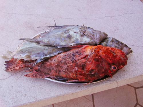 three dead fish on a plate on a table at Apartment Ennio in Povlja