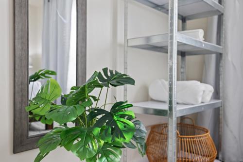 コールドウェルにあるChic & Cozy Room, Unique Design, Shared Amenities Near CofI and Lake Lowellのギャラリーの写真