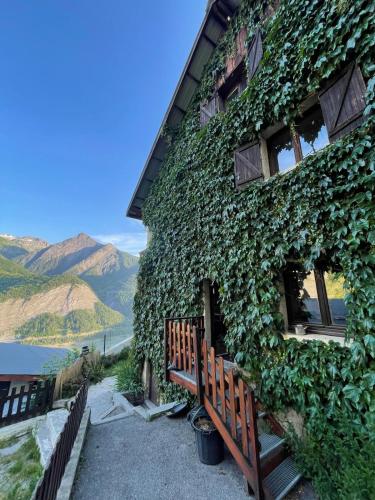 un bâtiment recouvert de lierre vert avec un banc en bois dans l'établissement Gite L'emparis à 10 minutes des Deux-Alpes, à Mizoën