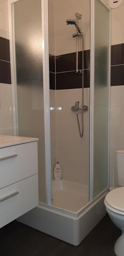 une salle de bain avec douche et toilettes dans l'établissement studio lumineux axe centre ville facs chu, à Poitiers