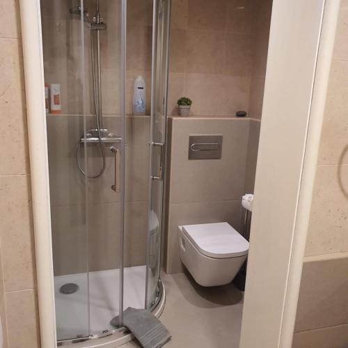 a bathroom with a shower and a toilet at Center Marina View Brown Studio in Funchal