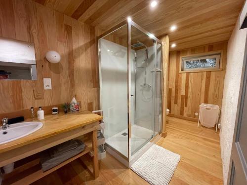 une salle de bain avec douche et lavabo dans l'établissement Beautiful Gite, Private Pool, Magnificent views!!!, à Nanteuil-Auriac-de-Bourzac