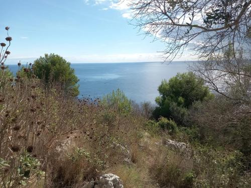 Foto dalla galleria di Nonna Maria 37 a Corsano