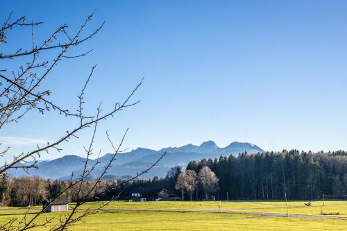 a field of grass with mountains in the background at Hotel Irschenberg Süd in Irschenberg