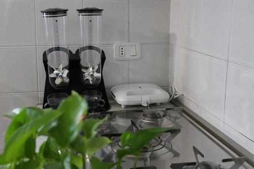 a small kitchen with a stove and a plant at Residenza Noè in Antica Villa - Suite & Spa in Fisciano