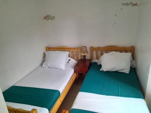 - 2 lits dans une petite chambre verte et blanche dans l'établissement Appartement privatif en bord de rivière, à Figeac