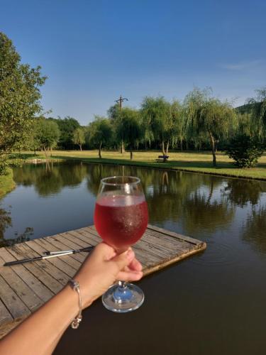 a person holding a glass of wine in front of a pond at Ciucea185 -Casa din Livadă in Ciucea