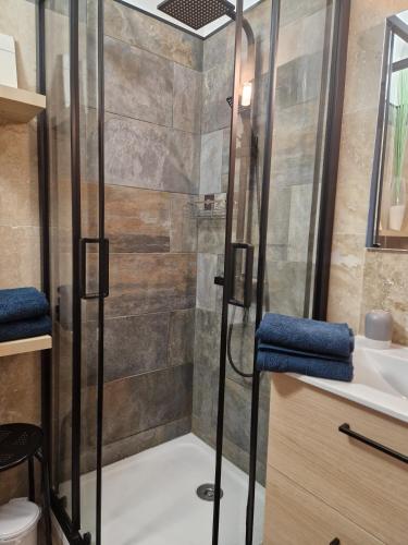 une salle de bain avec douche et lavabo dans l'établissement Apartment Rue St Antoine, à Cannes
