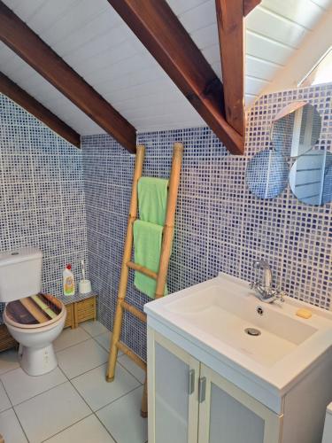 a bathroom with a toilet and a towel ladder at La Zénitude 2 haut de villa Vues exceptionnelles in Saint-François